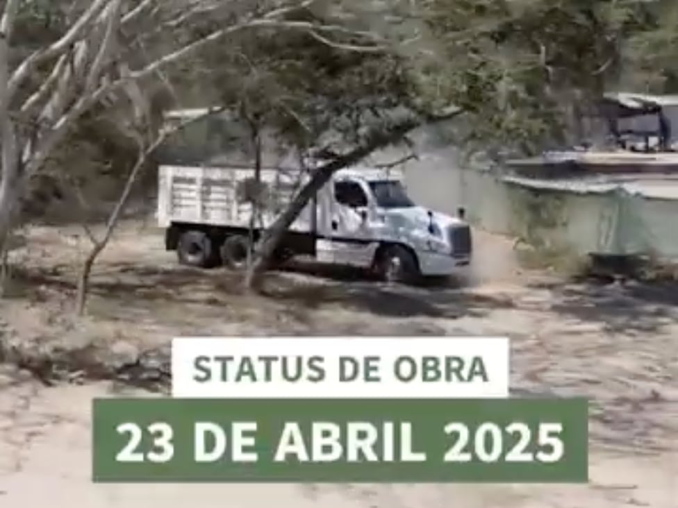 Avance de Obra en Árvore