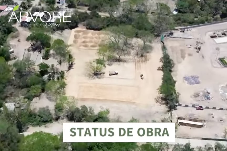 Avance de Obra en Árvore