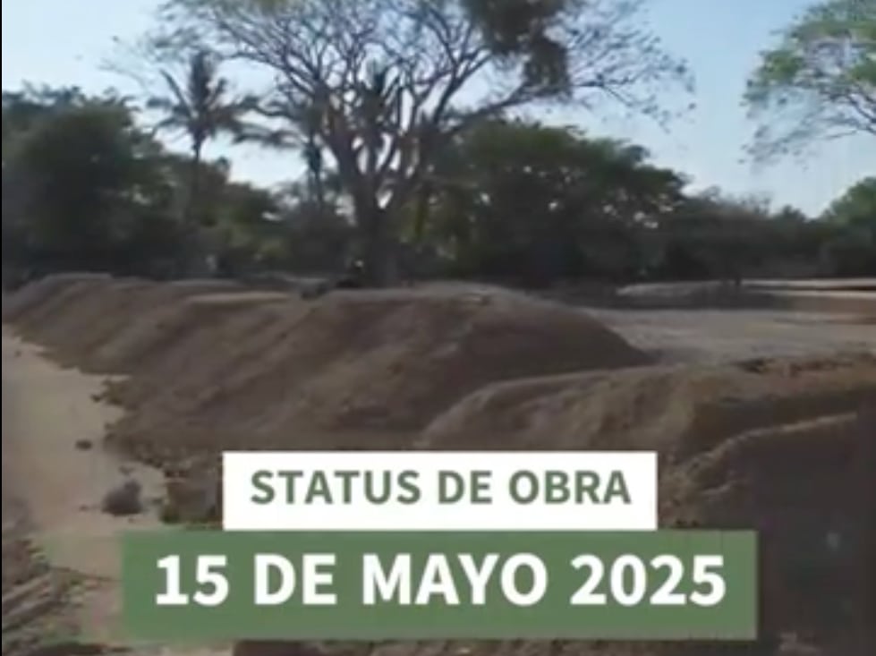 Avance de Obra en Árvore